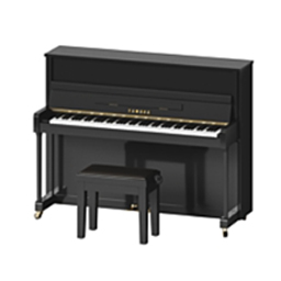 Other ModelsMusical instrument