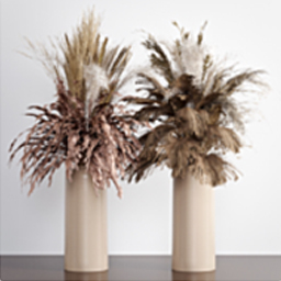 PlantsBouquet